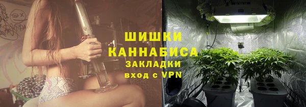 тгк Бронницы