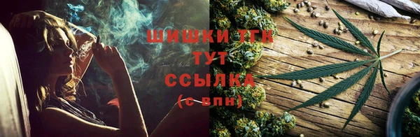 тгк Бронницы