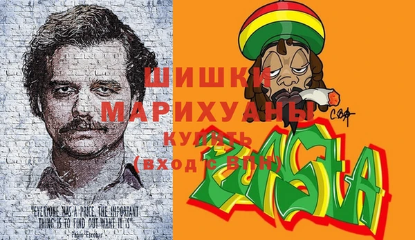 тгк Бронницы