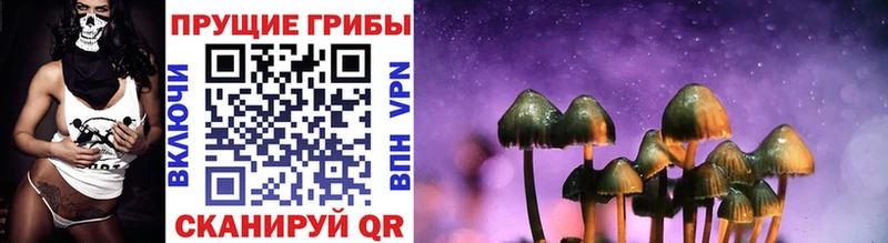 Купить где  Добрянка  Псилоцибиновые грибы Psilocybine cubensis 